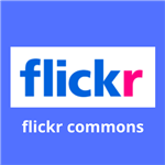 flickr 